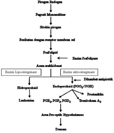 Gambar 1. Patofisiologi Demam dan Antipiretik 