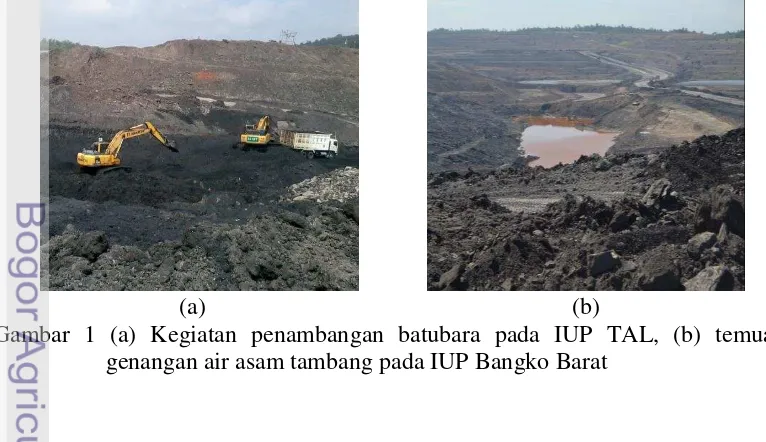 Gambar 1 (a) Kegiatan penambangan batubara pada IUP TAL, (b) temuan 