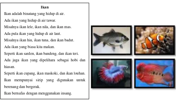 gambar fotografi yang ini ikan apa namanyanya anak-anak?”