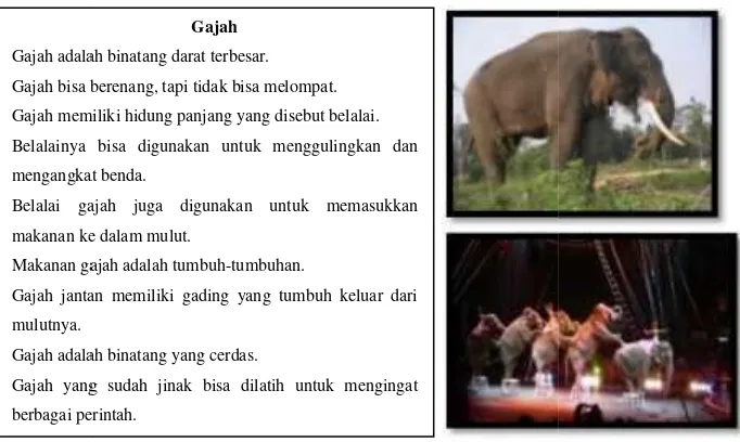 gambar fotografi gajah buh bu””.