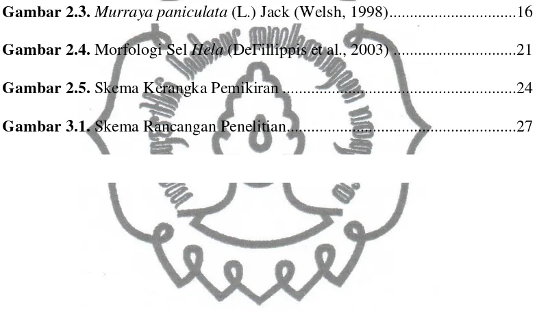 Gambar 2.3. Murraya paniculata (L.) Jack (Welsh, 1998) ..............................