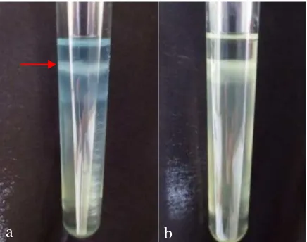 Gambar 10  Uji bakteri penambat nitrogen. (a) Bacillus sp. AA2 membentuk lapisan         lendir dan berubah warna menjadi kebiruan, (b) Bacillus sp