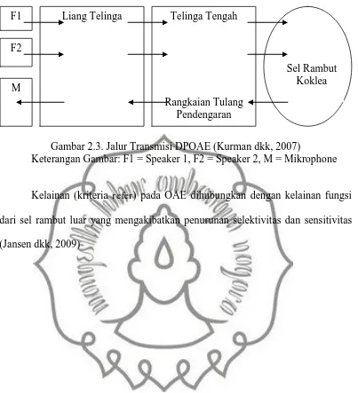 Gambar 2.3. Jalur Transmisi DPOAE (Kurman dkk, 2007) Keterangan Gambar: F1 = Speaker 1, F2 = Speaker 2, M = Mikrophone 