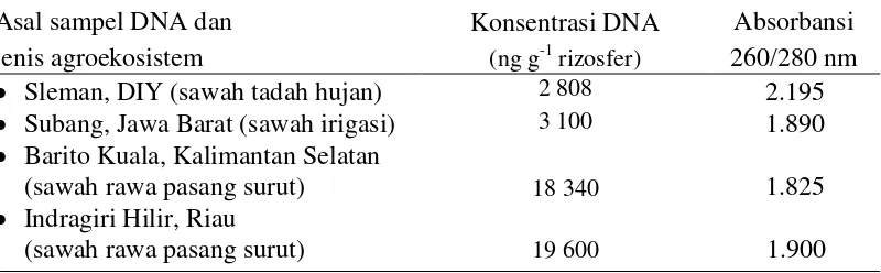 Tabel 1  Konsentrasi dan kemurnian DNA total mikrob hasil isolasi dari sampel rizosfer pertanaman padi pada beberapa agroekosistem 