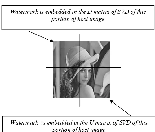 Figure 3(a). Host image Lena (512x512) (b). Watermark image (c). Permuted watermark image  