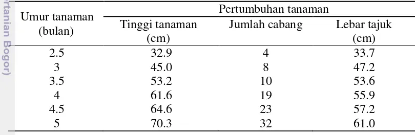 Tabel 4  Rata-rata laju tumbuh relatif dan laju asimilasi bersih tanaman torbangun pada umur 2.5-5 bulan 