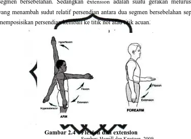 Gambar 2.4 Flexion dan extension Sumber: Hamill dan Knutzen, 2009 
