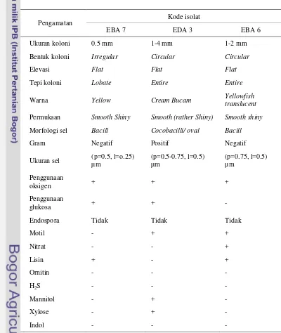Tabel 8  Karakteristik isolat bakteri endofit (Sumber ICBB) 