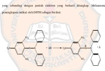 Gambar  I. Reaksi antioksidan dengan DPPH (Kikuzaki, Hisamoto, Hirose,  Akiyama, and 