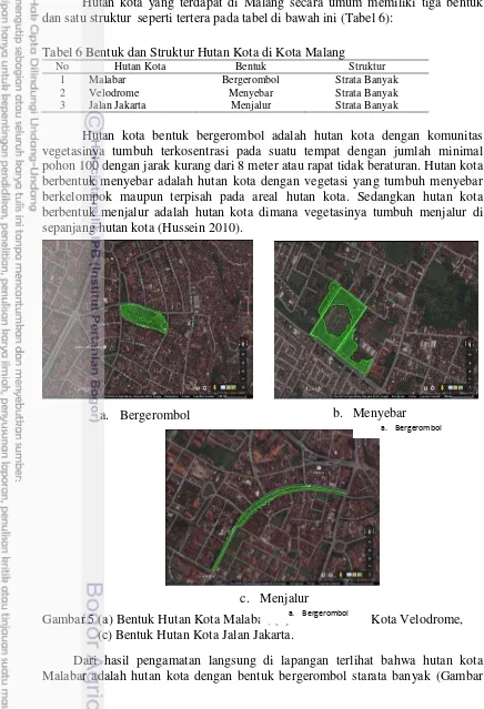 Tabel 6 Bentuk dan Struktur Hutan Kota di Kota Malang 