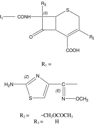 Gambar 2. Struktur Cefotaxim (Mutschler, 1991) 