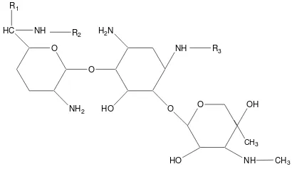 Gambar 3. Struktur Oxacillin (Soekardja, dkk., 2000) 