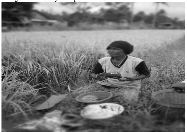 Figure 3. A Citizen is Implementing Wiwit Offeringsi in the Fields 