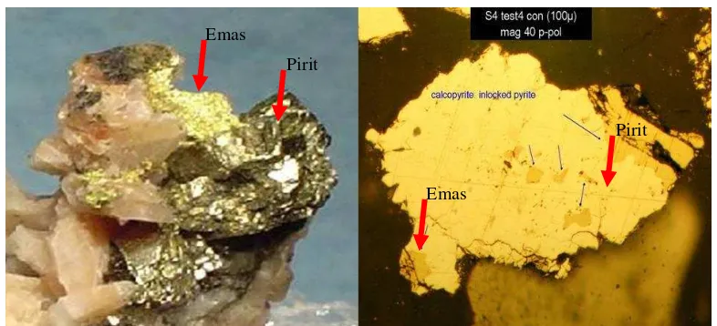 Gambar 1  Kandungan emas yang terkunci oleh pirit (kiri) dan kandungan calcopyrit (CuFeS2) yang terkunci oleh pirit (kanan) (PTFI 2013) 