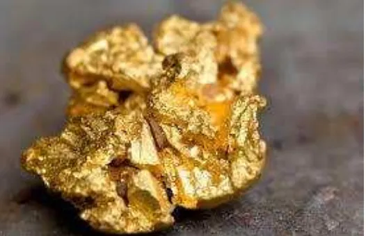 Gambar 2 Butiran emas (nugget) dari lokasi penambangan  (www.akhmadarqom.com) 