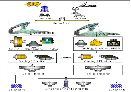 Gambar 11 Skema pengolahan emas dengan cara flotasi (PTFI 2012) 