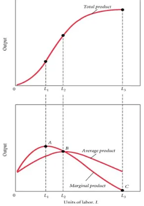 Gambar 2. Kurva Total, Marjinal, dan Rata-rata Produksi