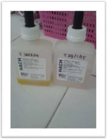 Gambar 2. sulfaver 4 