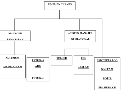 Gambar 4.1 Struktur Organisasi Bank Rakyat Indonesia Cabang Pacitan 