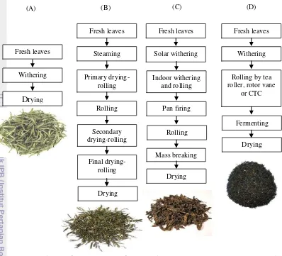 Table 2. Composition (%) of green tea, black tea, infusion 