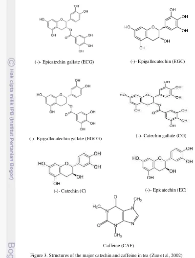Figure 3. Structures of the major catechin and caffeine in tea (Zuo et al, 2002) 