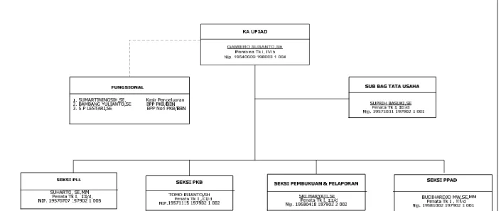 Gambar 3.1  Struktur Organisasi UP3AD 