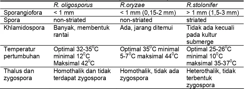 Tabel 2.2 Perbedaan sifat-sifat pokok Rhizopus sp. pada tempe  