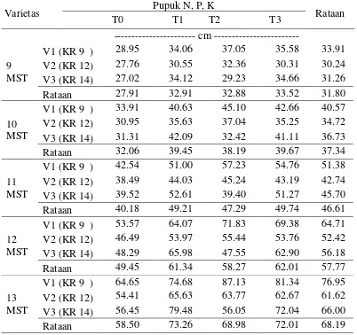 Tabel 1.  Tinggi tiga varietas kenaf dengan perlakuan pemberian pupuk N, P, K  pada umur 9-13 MST 