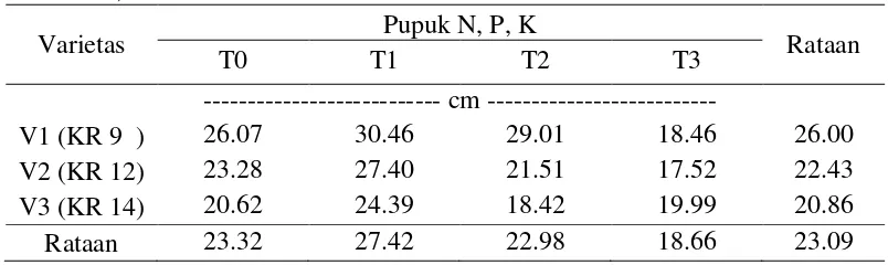 Tabel 5.   Bobot segar akartiga varietas kenaf dengan perlakuan pemberian pupuk N, P, K 