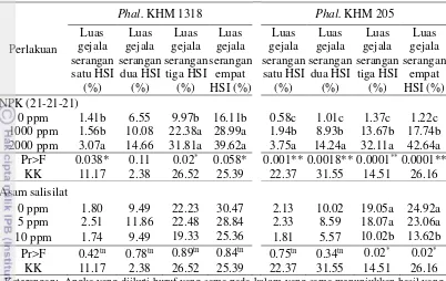 Tabel 11 Luas gejala serangan pada Phal. KHM 1318 dan Phal. KHM 205 