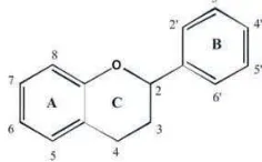 Tabel 3. Komposisi Kimia daun teh 