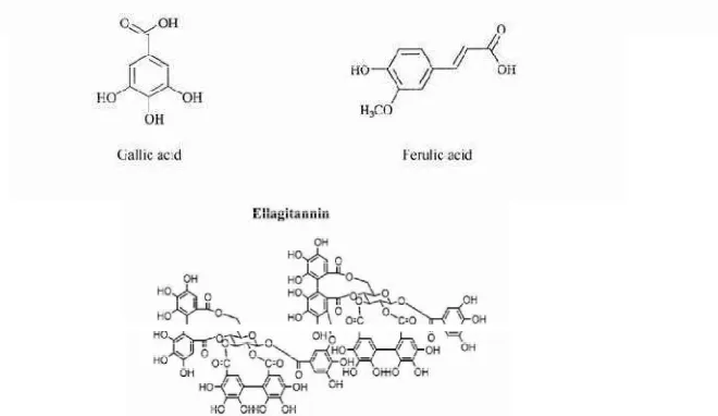 Gambar 2. Struktur kimia dari asam galat , asam ferulat,  dan ellagitanin (Dai et al. 2010)