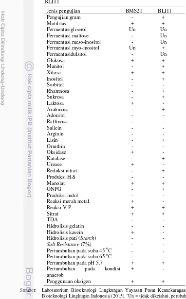 Tabel 8  Karakteristik fisiologi dan biokimia bakteri endofit isolat BMS21 dan 