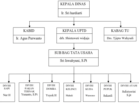Gambar 1. Struktur Organisasi UPTD Aneka Usaha Ternak Dinas Peternakan 