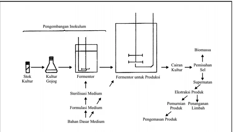 Gambar 1. Skema fermentasi (Stanbury dan Whitaker, 1984). 