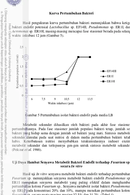 Gambar 5 Pertumbuhan isolat bakteri endofit pada media LB 