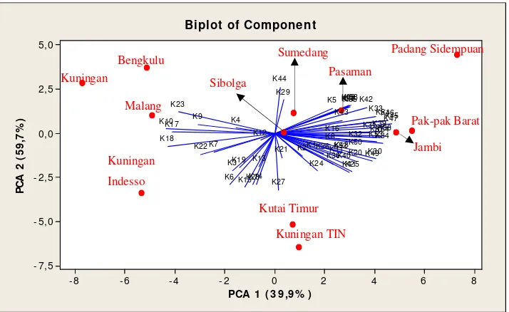 Gambar 8. Grafik Bi-plot dari Komponen Keseluruhan Minyak Nilam 