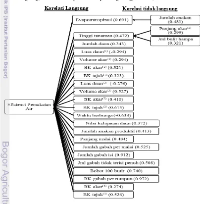 Gambar 2 Diagram jalur keterkaitan karakter morfologi, agronomi dan fisiologi 