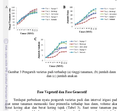 Gambar 3 Pengaruh varietas padi terhadap (a) tinggi tanaman, (b) jumlah daun 