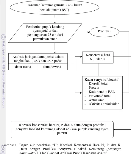 Gambar 1 Bagan alir penelitian “Uji Korelasi Konsentrasi Hara N, P, dan K 