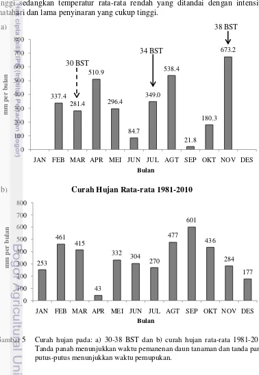 Gambar 5   Curah hujan pada: a) 30-38 BST dan b) curah hujan rata-rata 1981-2010. 