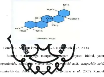 Gambar 2.  Struktur kimia ursolic acid (Febriansah et al., 2008). 
