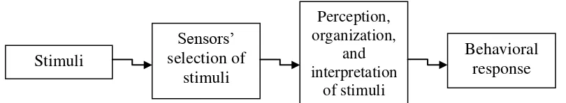 Figure 2.1. The Perceptual Process (Altman et al., 1985: 86) 