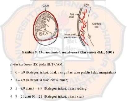 Gambar 9. Chorioallantoic membrane (Klarwasser dkk., 2001) 
