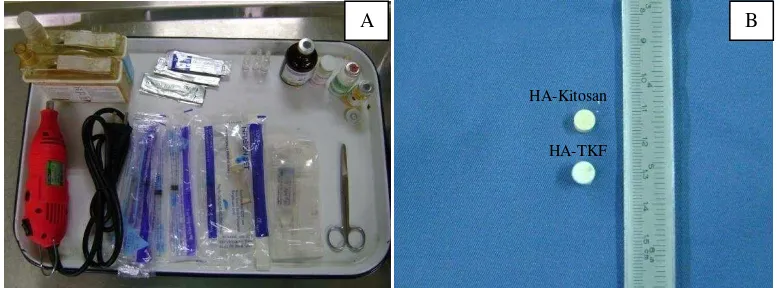 Gambar 10 Alat dan bahan dalam operasi ortopedik. A) bor tulang, alat operasi minor dan sediaan anestesi; B) material implan HA-Kitosan dan HA-TKF