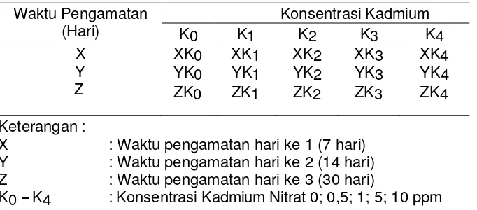 Tabel 3. Rancangan Uji Toksisitas 