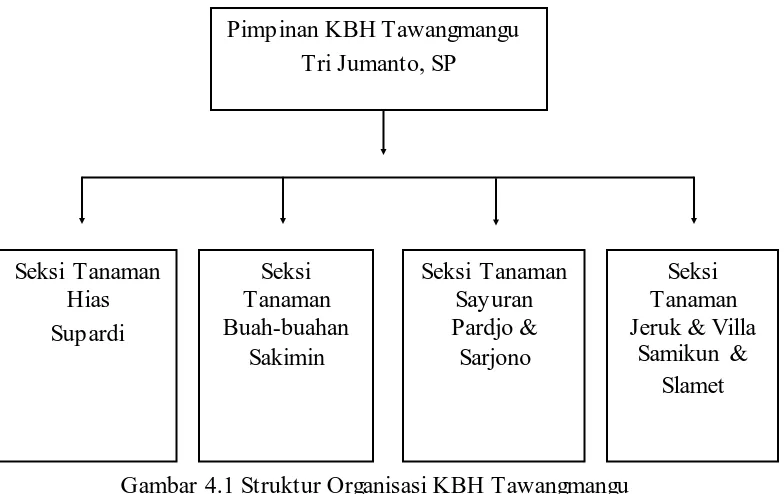 Gambar 4.1 Struktur Organisasi KBH Tawangmangu  Setiap seksi – seksi tersebut diatas bertanggung jawab terhadap 