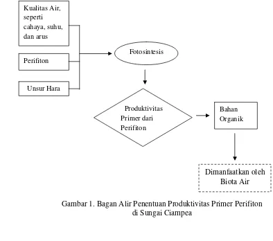 Gambar 1. Bagan Alir Penentuan Produktivitas Primer Perifiton  
