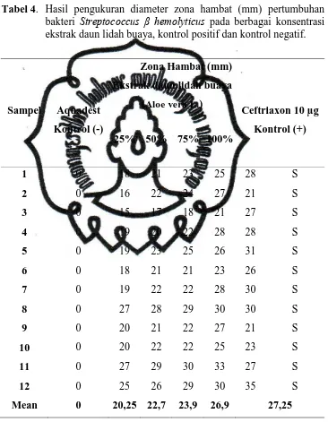 Tabel 4. Hasil pengukuran diameter zona hambat (mm) pertumbuhan bakteri Streptococcus β hemolyticus pada berbagai konsentrasi 