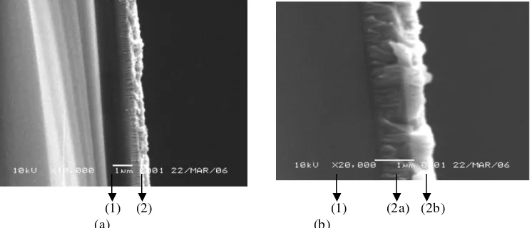 Gambar 12.  (a) Type foto  permukaan  lapisan dengan  perbesaran 2.000× (b) Type foto permukaan lapisan dengan perbesaran 20.000×  